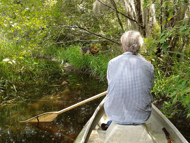 Brown Dog and Gretchen at the beaver dam