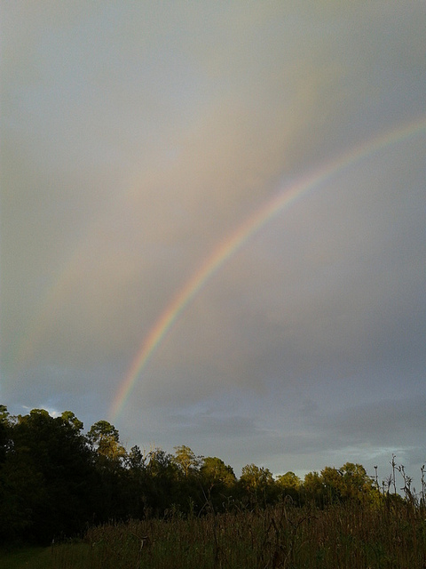 Portrait of two rainbows
