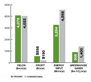 Rodale organic vs. conventional study