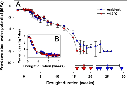 Fig. 1. Water relations progression and death dates.