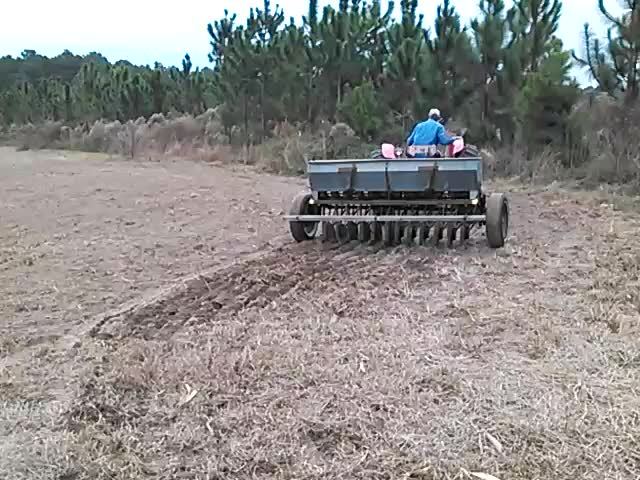 Around, in Rye movies, by John S. Quarterman, for Okra Paradise Farms, 20 November 2013