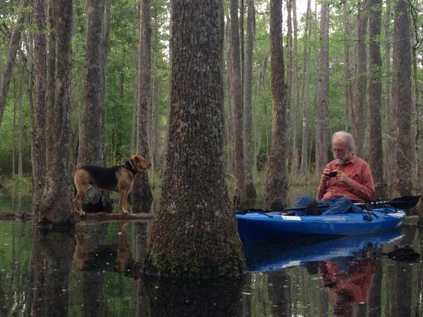 600x450 Brown Dog on a floating log and jsq in a kayak, in Dogs in the Swamp, by Gretchen Quarterman, for Okra Paradise Farms, 11 April 2014