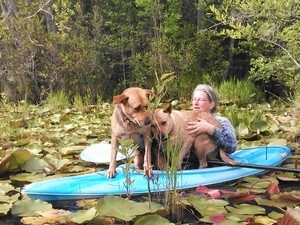 300x225 What could possibly go wrong?, in Two dogs in a small kayak, by John S. Quarterman, for Okra Paradise Farms, 29 May 2014