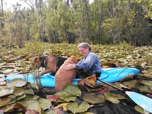 300x225 Gretchen helped her in., in Two dogs in a small kayak, by John S. Quarterman, for Okra Paradise Farms, 29 May 2014