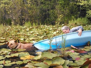 300x225 Righting the boat, in Two dogs in a small kayak, by John S. Quarterman, for Okra Paradise Farms, 29 May 2014