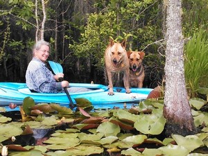 300x225 And Brown Dog, in Two dogs in a small kayak, by John S. Quarterman, for Okra Paradise Farms, 29 May 2014