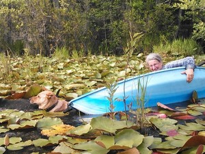 300x225 Oops!, in Two dogs in a small kayak, by John S. Quarterman, for Okra Paradise Farms, 29 May 2014