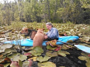 300x225 Then Yellow Dog wanted in, too, in Two dogs in a small kayak, by John S. Quarterman, for Okra Paradise Farms, 29 May 2014