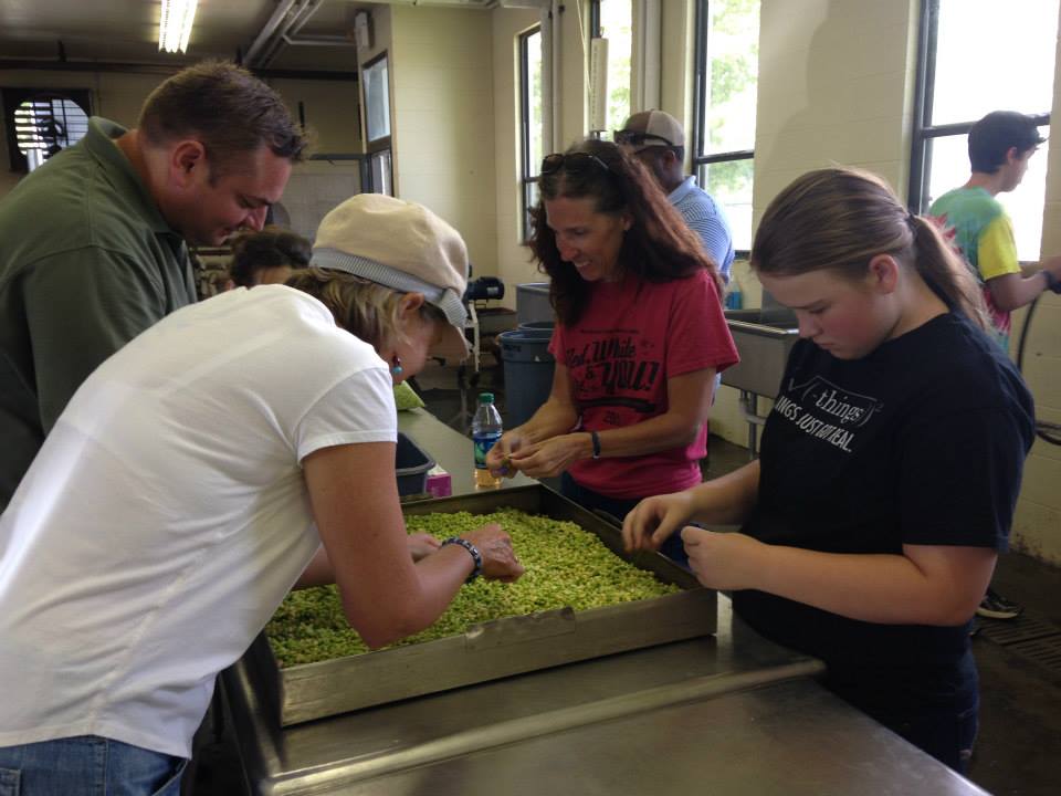 960x720 Picking out the bits, in Canning Class at Lowndes High School, by Gretchen Quarterman, for Okra Paradise Farms, 18 June 2014