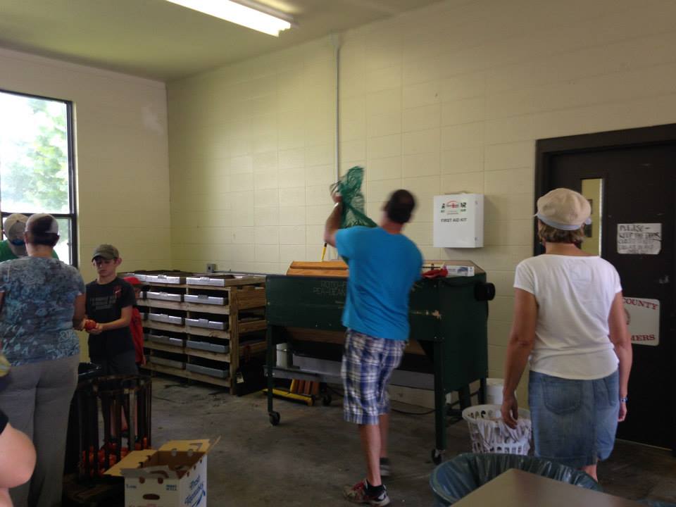 960x720 Loading a bushel of acre peas, in Canning Class at Lowndes High School, by Gretchen Quarterman, for Okra Paradise Farms, 18 June 2014