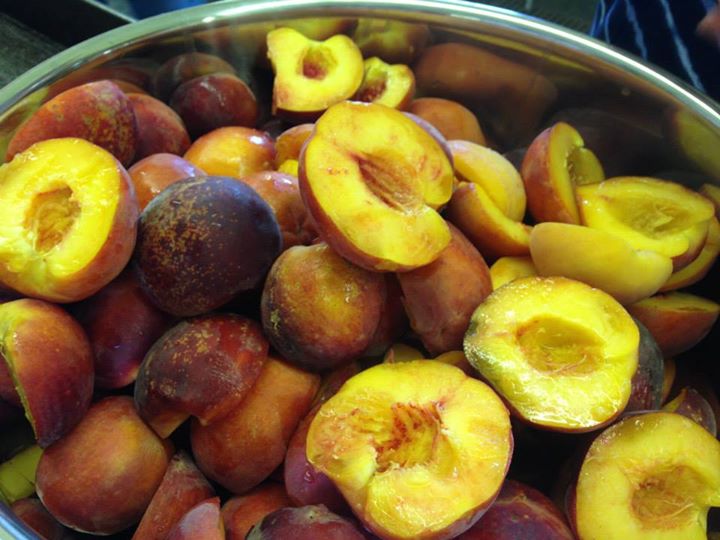 720x540 Almost ready for the juicer, in Canning corn and peaches at Lowndes High School, by Gretchen Quarterman, for OkraParadiseFarms.com, 12 July 2014