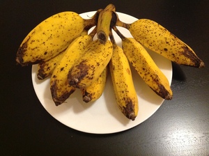 300x224 Ripe bananas, in Minor food crops to consider for the hobby gardener or small scale farmer, by Bret Wagenhorst, for OkraParadiseFarms.org, 14 December 2014