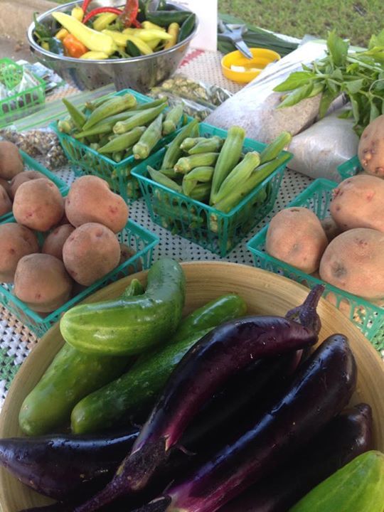 540x720 Okra, cucumbers, peppers, basil, in At the market, by Gretchen Quarterman, for OkraParadiseFarms.com, 27 June 2015