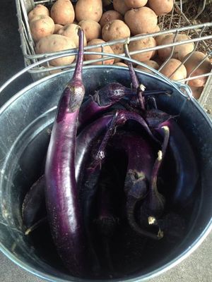 300x400 Eggplant and potatoes, in At the market, by Gretchen Quarterman, for OkraParadiseFarms.com, 27 June 2015