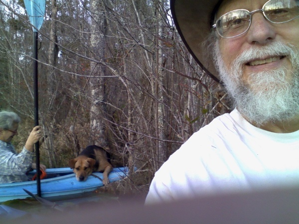 Brown Dog unclear on how to get in a boat