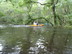 72x54 Keeping on, in Withlacoochee River, GA 122 to Franklinville Road, by Gretchen Quarterman, 20 April 2013