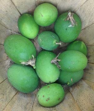 Maypop fruit in basket