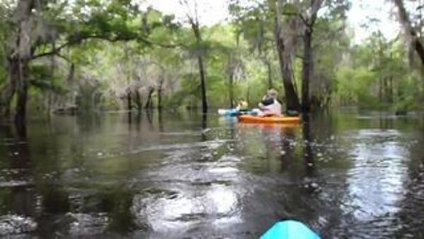 600x338 Movie: Which way to go? (16M), in Withlacoochee River, GA 122 to Franklinville Road, by Gretchen Quarterman, 20 April 2013