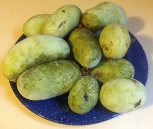 Pawpaws on plate