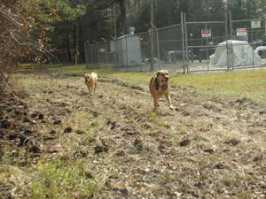 At the pipeline station