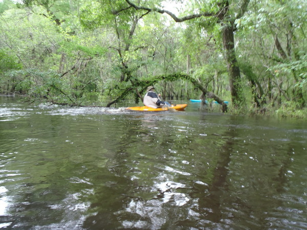 600x450 Keeping on, in Withlacoochee River, GA 122 to Franklinville Road, by Gretchen Quarterman, 20 April 2013