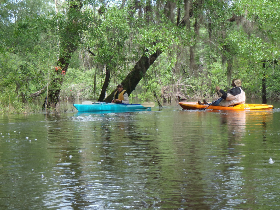 1072x804 Orange flowers, in Withlacoochee River, GA 122 to Franklinville Road, by Gretchen Quarterman, 20 April 2013