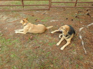 Guarding the gate