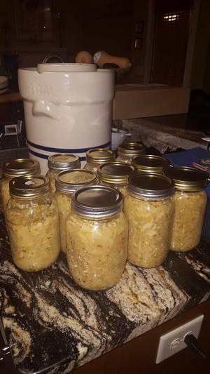 Lacto-fermentation