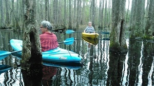 Paddling around