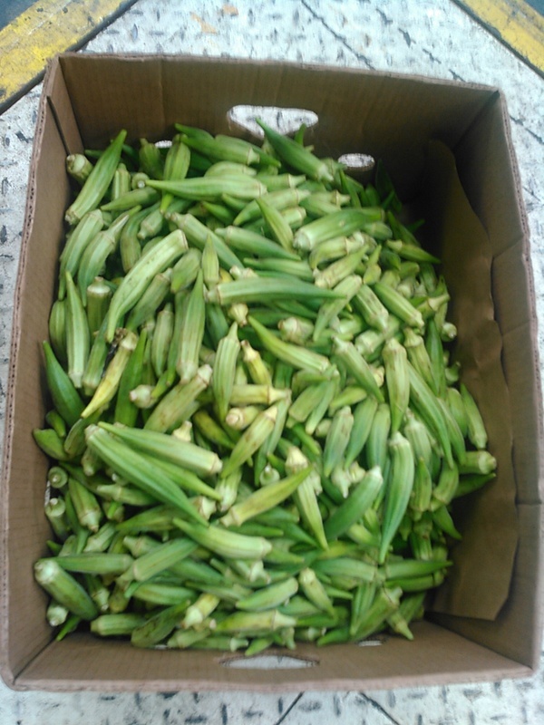 25 pounds of okra