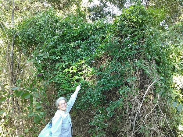 Gretchen pointing at passion fruit