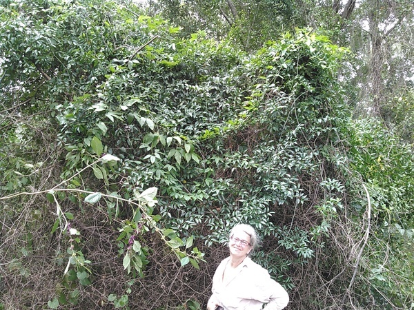 Gretchen with passion flower on top of smilax vine