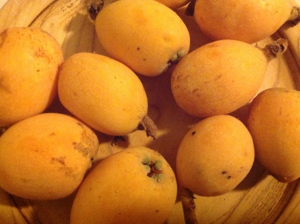 Loquat fruit