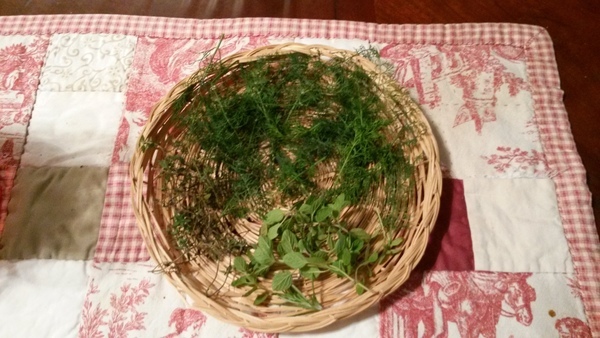 Herbs on a table