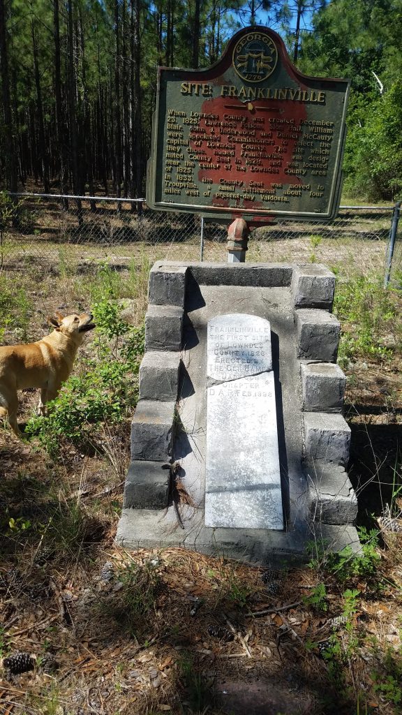 Franklinville, GA Canopy Roads of South