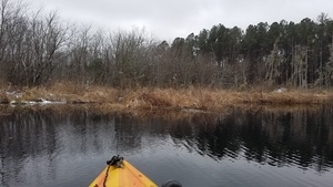 Beaver mansions, Beaver houses