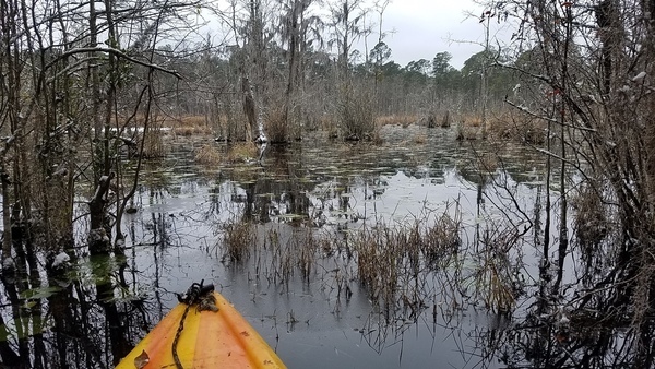 Ice, clear, snow, The pond