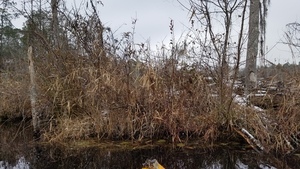 East slope, Big beaver house