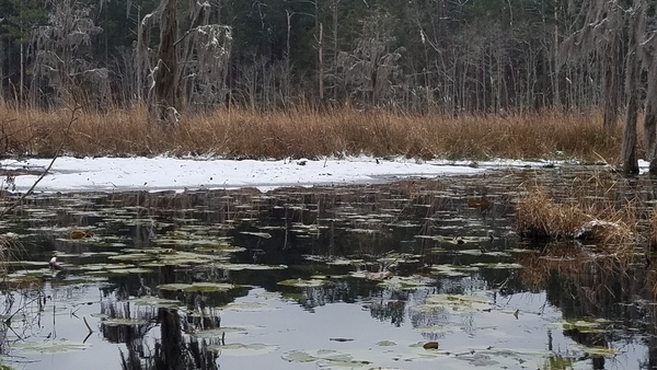 Ice on top, Floating bottom