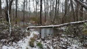 Ice on pond, Put-in