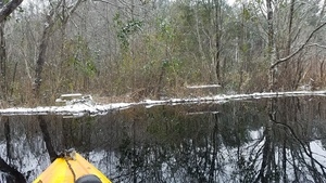 Movie: Icy beaver dam (20M), Between dams