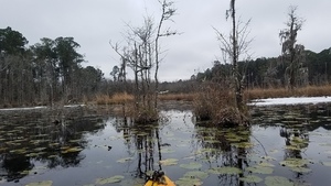 Two ice, The pond