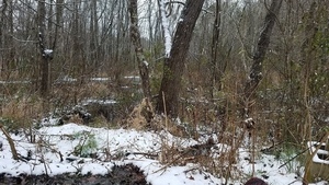 More ice below, Between dams