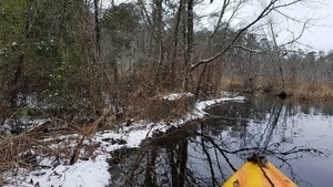 Along the beaver dam, Between dams