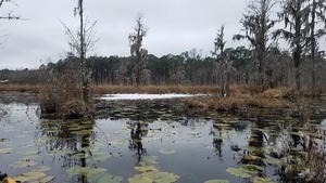 Ice floe, The pond