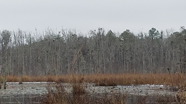 Across the ice, West shore