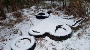 Tire garden covered, Plants