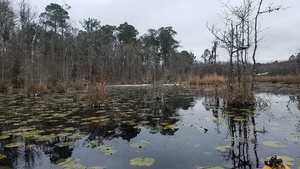 More ice ahead, The pond