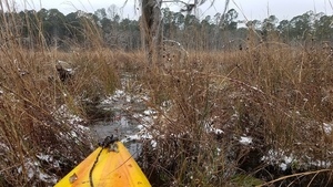 Frozen, Floating bottom