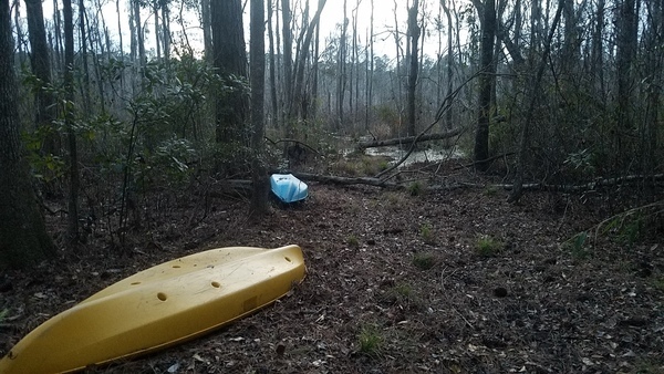 Two kayaks, Pond